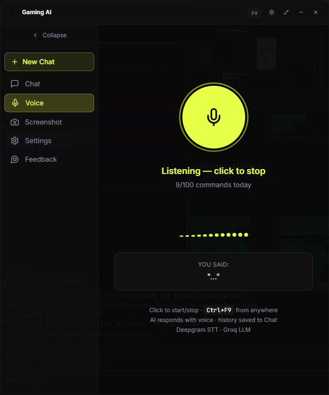 Voice UI
